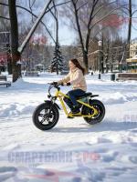 Электровелосипед фэтбайк Griffin J3 (750Вт, 48В 15Ач)