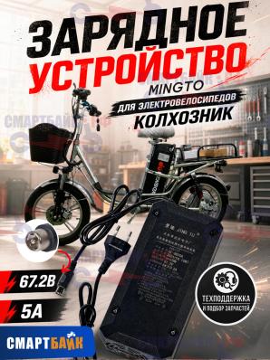 Зарядное устройство Mingto 67.2V 5A для электровелосипедов (колхозник)