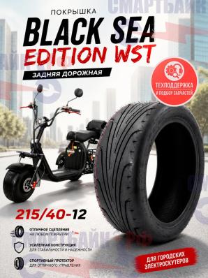 Покрышка BLACK SEA/ PRO BLACK EDITION WST задняя дорожная (215/40-12)