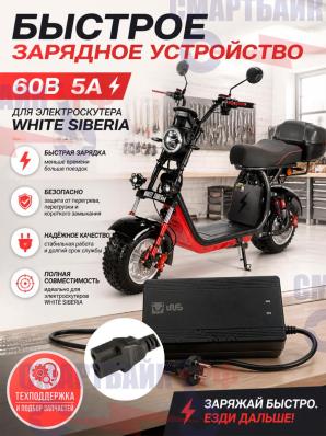 Быстрое зарядное устройство 60V5Ah для электроскутера/электросамоката (АКБлитий) WHITE SIBERIA