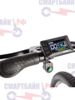 Электровелосипед Gelbert Ran Star 1 ST (250W 36V 7.8Ah), серый