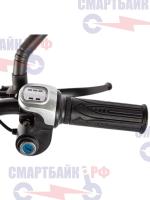 Электровелосипед Gelbert ALFA 1 ST (250W 48V 10.4Ah), серый