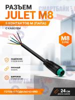 Разъем JULET M8 5 контактов M (Папа) с кабелем 24см
