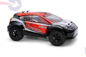 Радиоуправляемый автомобиль HSP Reptile Rally Car 4WD 1:18 HSP 94808-80892